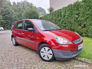 Ford Fiesta Mk6 (2002-2008)