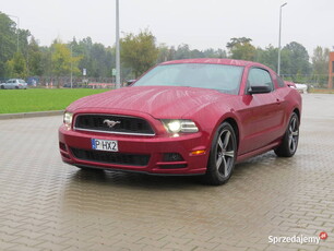 Ford Mustang 3,7 V6 - 305 KM - 2014 r.