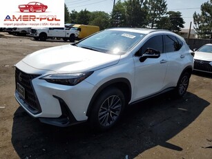 Lexus NX II 2023