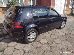 Volkswagen Golf IV 1.4 Benzyna 2002 Rok