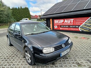 Volkswagen Golf IV Hatchback 1.9 TDI 90KM 1999