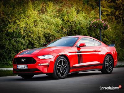 Ford Mustang Performance Full opcja, Automat