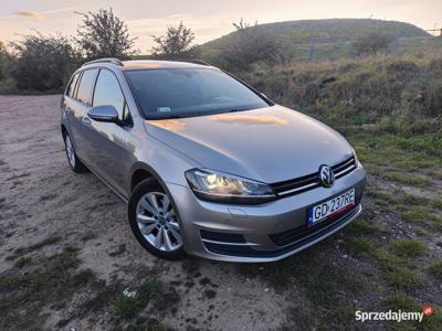 Golf 7 kombi polski salon ksenony climatronic bezwypadkowy