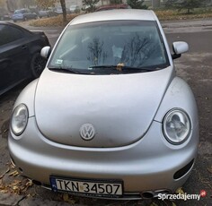 New Beetle