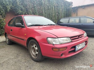 TOYOTA Corolla Jeden właściciel