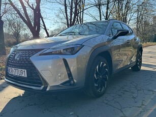 Używany Lexus UX 2020