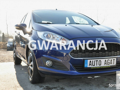 Ford Fiesta *gwarancja*bluetooth*jak nowy*zestaw głośnomówi…