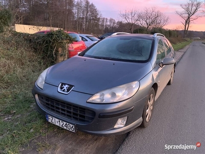 Peugeot 407 Hds