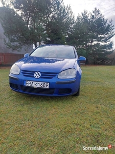 Vw golf V 1.9 tdi