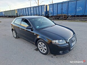 Audi A3 8P 1.9 TDI BLS z DPF (2005 r.)