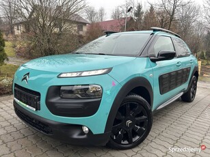 Citroen C4 Cactus, 1 Właściciel Bezwypadkowy, Serwisowany, Navi, Półskóra,