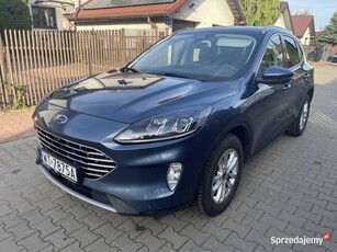 Kuga od osoby prywatnej, Salon PL