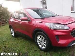 Używany Ford Kuga 2021