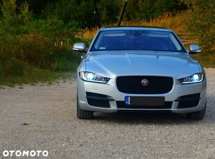 Używany Jaguar XE 2017