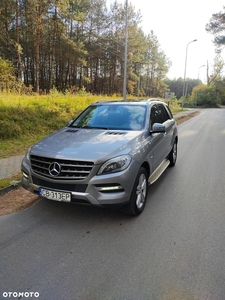 Mercedes-Benz ML 350 BlueEff 4-Matic