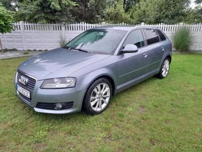 Używane Audi A3 - 21 500 PLN, 251 500 km, 2009