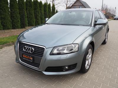 Używane Audi A3 - 29 800 PLN, 250 000 km, 2008