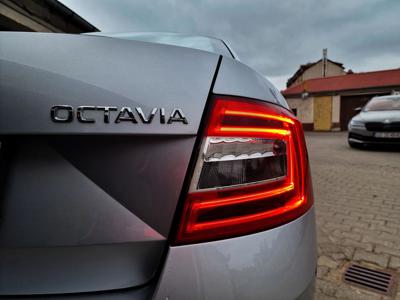 Używane Skoda Octavia - 34 000 PLN, 300 000 km, 2015