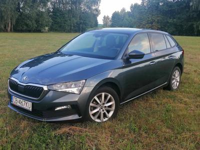 Używane Skoda Scala - 54 900 PLN, 185 000 km, 2019