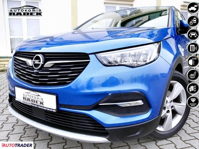 Opel Grandland X 1.4 diesel 131 KM 2021r. (Świebodzin)