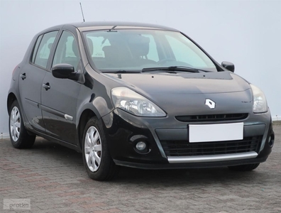 Renault Clio III , Salon Polska, Klima