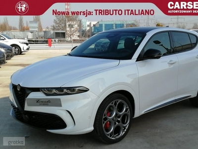 Alfa Romeo Inny Alfa Romeo Tributo Italiano |1,5 160 KM | Alfa White/czarny dach| MY24