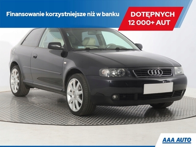 Audi A3 8L Hatchback 1.6 i 102KM 2000