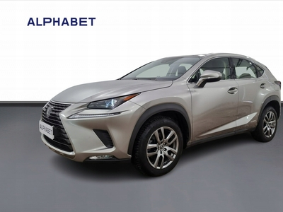 Lexus NX II 2021