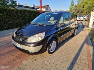 Renault Scenic II Odpala na plaka