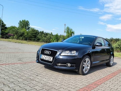 Audi A3 8P 1.9TDI 2009r polift