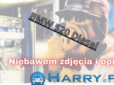 BMW 520 2002r. 2,0 Diesel Tanio - Możliwa Zamiana! E39 (1996-2003)