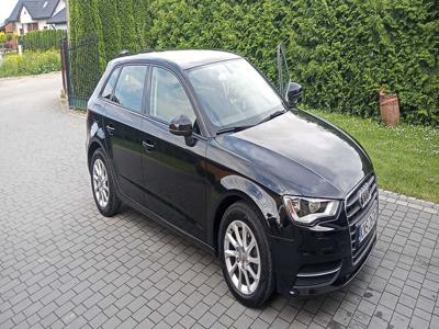 Audi A3 1.6 TDI. Model V8