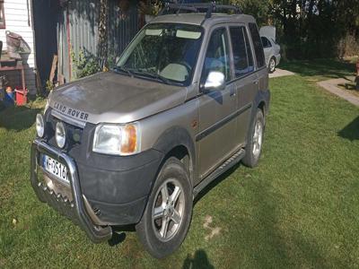 Ładny Freelander