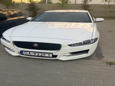 Jaguar XE 2018 2.0 250 KM R-Sport biały