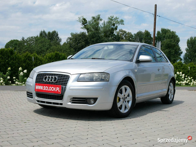 Audi A3 1.6 102KM -2xKlimatr -Krajowy -1 Wł od 10 lat -Nowy rozrząd +hamul…