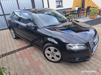 Audi a3 1.6 MPI_102KM_Serwis_Bezwypadek_Zadbany