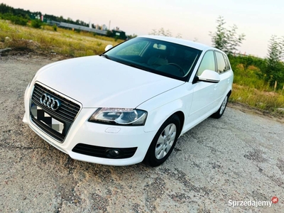 Audi A3 2010 1.6 TDI M5 skórzane grzan fotele, czujniki park