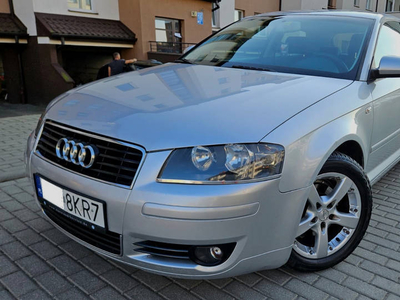 Audi A3 8P 2005r 1.6 MPI - bdb stan techn,alufelgi ,bogata wersja