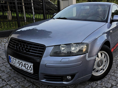 Audi A3 8P 2005r 2.0 TDI 140km-klimatronic ,zadbane wnetrze