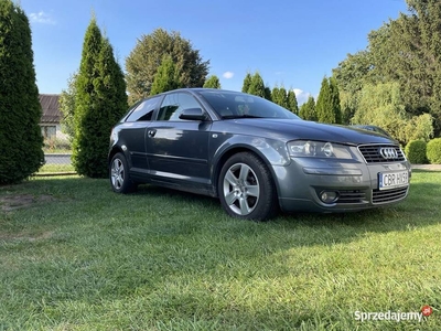 Audi A3 8P 2.0TDI 140KM