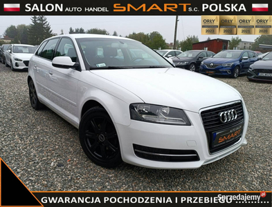 Audi A3 Benzyna / Climatronic / Alufelgi 8P (2003-2012)