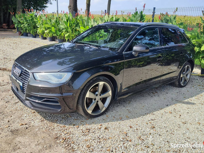 Audi A3 Turbo Hybrid e tron 4x4 8V (2012-)