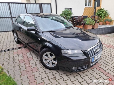 Audi a3_1.6 MPI_102KMB_Zadbany