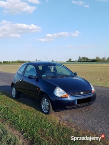 Ford KA |Długie Opłaty| |Stan Bardzo Dobry| |Niski Przebieg|