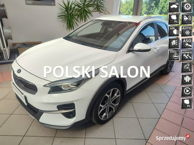 Kia XCeed 1.5T-GDI 160KM, Automat, Pierwszy właściciel, Krajowy '' L''