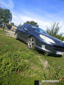 Peugeot 407 SW