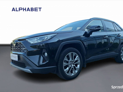 Toyota RAV-4 Toyota RAV4 2.5 Hybrid Executive 4x4 V (2018)