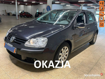 Volkswagen Golf Niezawodna benzyna, CLIMAtronic, po wymianie rozrządu, opo…