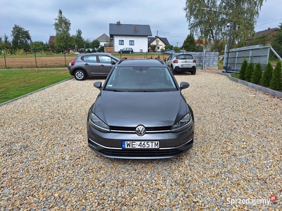 Volkswagen Golf VII 1.6 TDI BMT * Krajowy * Serwisowany * Bezwypadkowy