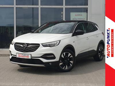 Opel 2019